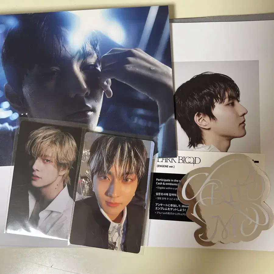 엔하이픈 enhypen 다크블러드 엔진반 정원버전 풀셋 양도 jungwon photocard