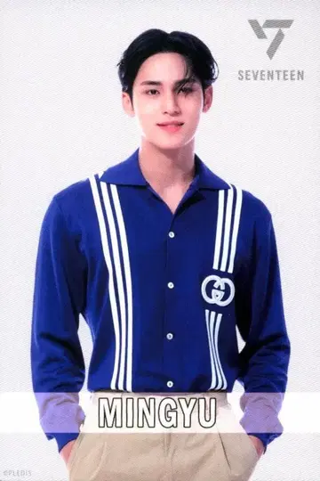 SEVENTEEN 2022 SEVENTEEN KUJI MINGYU 스탠드 비주얼 카드 E상
