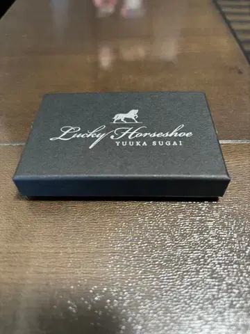 스가이 유카 Lucky Horseshoe 실버 목걸이