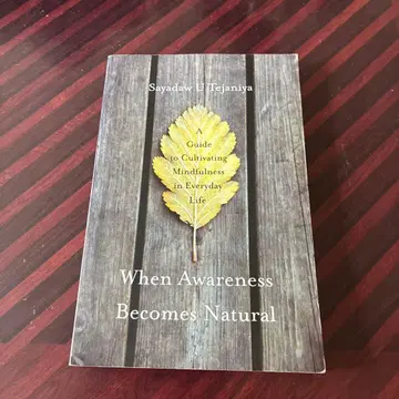 When Awareness Becomes Natural 명상 불교