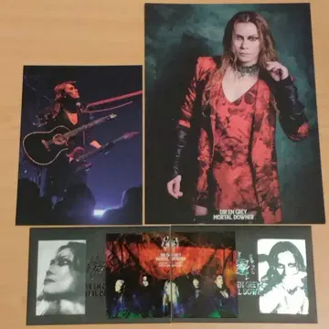 DIRENGREY 도쿄 가든 시어터 VIP 특전 기념품 & 스티커