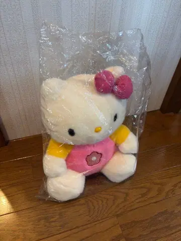 헬로키티 말하는 인형 작동 확인 완료