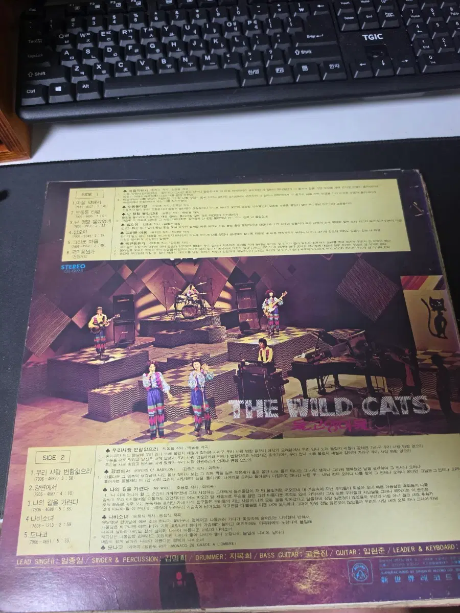 더 와일드 캣츠 들고양이들 (The Wild Cats) 1집 LP