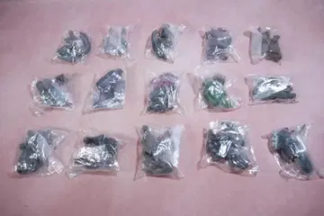 HG 고질라 크로니클 전 15종