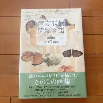 미나카타 구마구스 균류 도보 오비 클리어 커버 포함