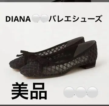 DIANA 발레 슈즈 블랙 라메 메쉬