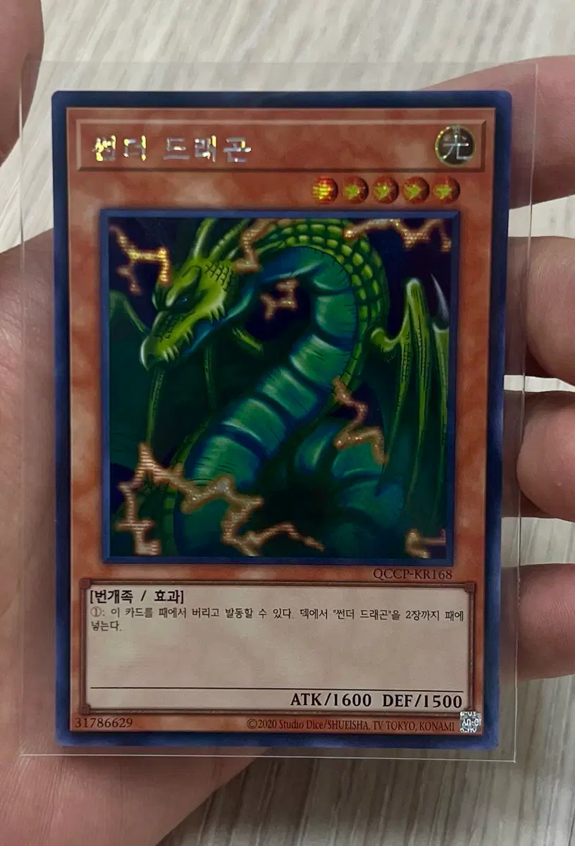 썬더드래곤시크