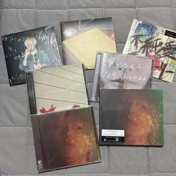 영 스키니 CD.DVD 7장 세트