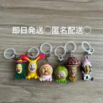 코비도 도감 메지루시 참 컴플리트