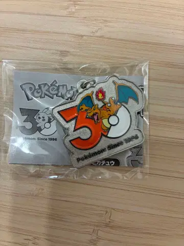 포켓몬 30주년 기념 메탈 참 리자몽