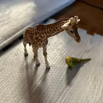 기린 잉꼬 피규어