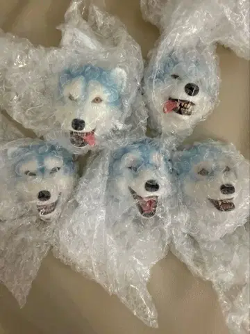 제일복권 MAN WITH A MISSION H상 페이스 마그넷