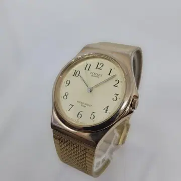 작동 CITIZEN 남성용 손목시계 쿼츠 10BAR 골드