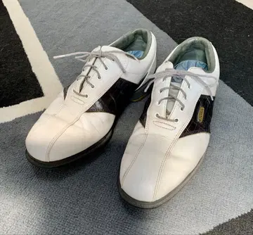 FOOTJOY 풋조이 DRYJOYS 골프화 53425J