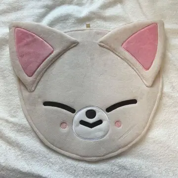 아이엔 폭시니 부채 커버