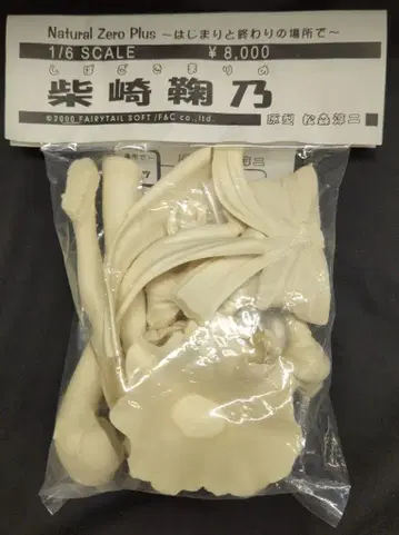 T's system 1/6 스케일 레진 캐스트 키트 오리지널 마츠모리 준지 시바사키 마리노
