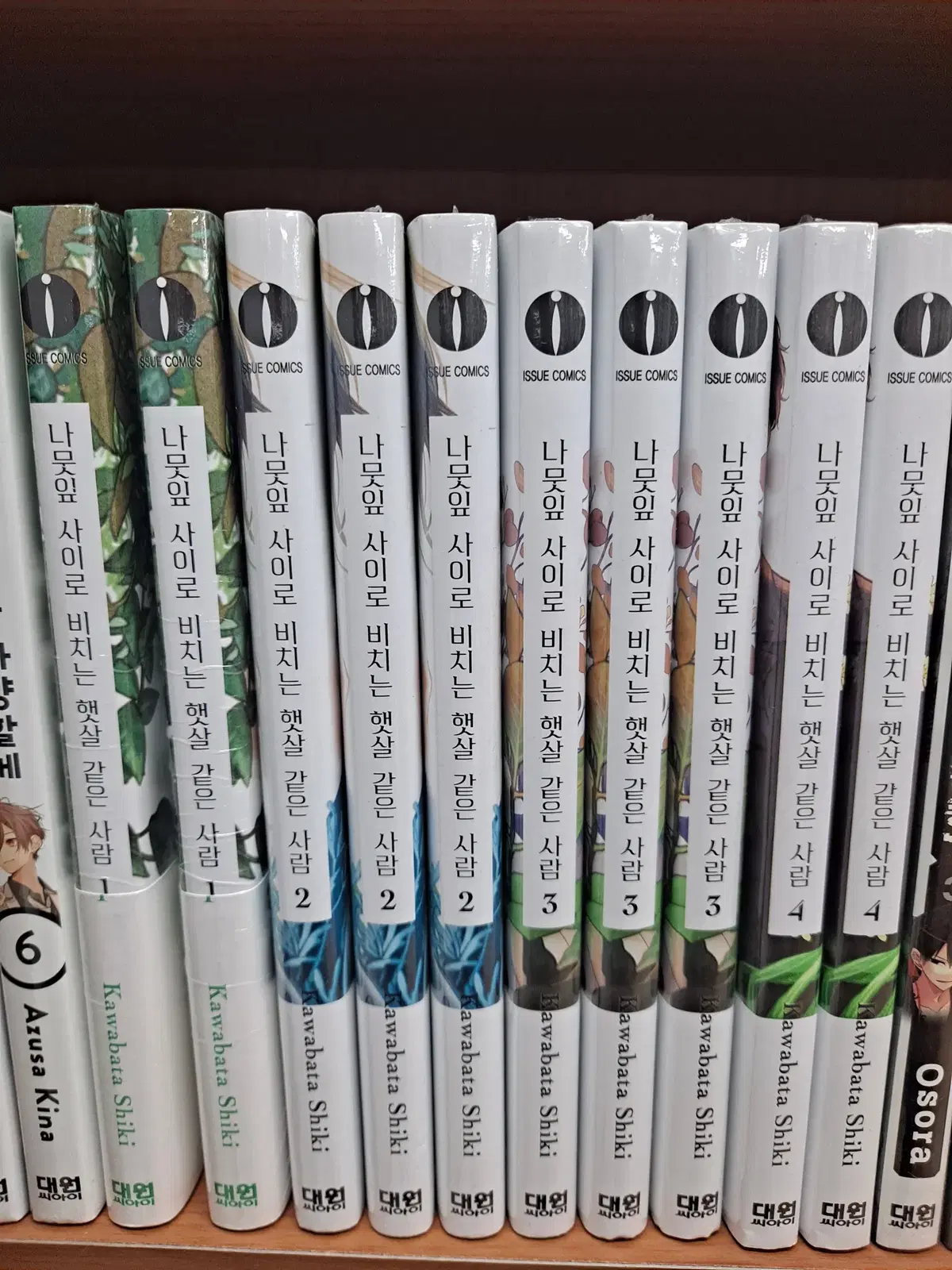 나뭇잎 사이로 비치는 햇살 같은 사람 1-4 미개봉 만화짱많아 프로안전상점
