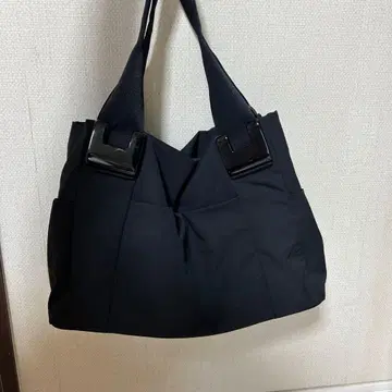 ear PAPILLONNER 이아파피요네