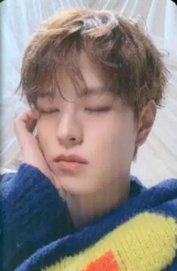 StrayKids SKZOO PLUSH COLLECT CASE 승민 STAY in Our Little House