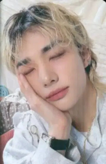 StrayKids SKZOO PLUSH COLLECT CASE 현진 STAY in Our Little House