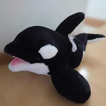 범고래 봉제 인형 카모가와 씨월드