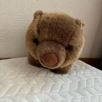 웜뱃 봉제 인형