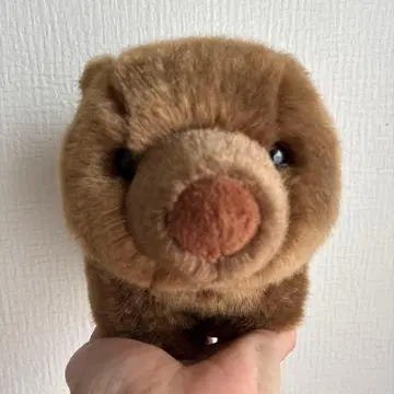 웜뱃 봉제 인형