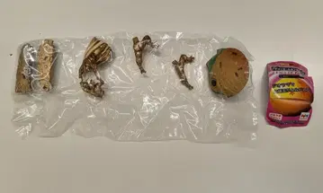 메가하우스 DB캡슐 네오 14/부활 마인 부우 편 브론즈) 거대한 희망! 퓨전/DB캡슐 네오 14/부활 마인 부우 편 브론즈