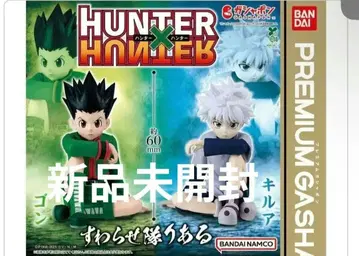 HUNTER x HUNTER 스와라세타이 곤 키루아 피규어