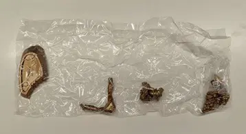 메가하우스 DB캡슐 네오03/만남 미래로부터의 침략 셀 편 브론즈)귀여운 얼굴 하고 초파워/DB캡슐 네오03/만남 미래로부터의 침략 브론즈