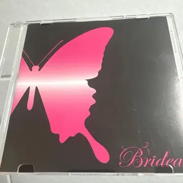 BRIDEAR DEMO