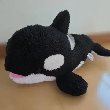 가모가와 씨월드 범고래 봉제 인형 38cm