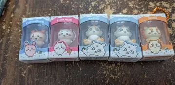 치이카와 초코 박스 5개 세트 시사, 그 아이, 치이카와, 헌책방