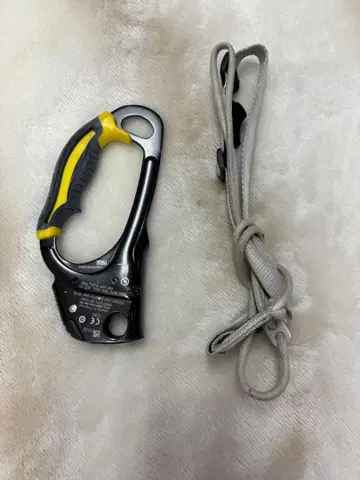 PETZL 어센션