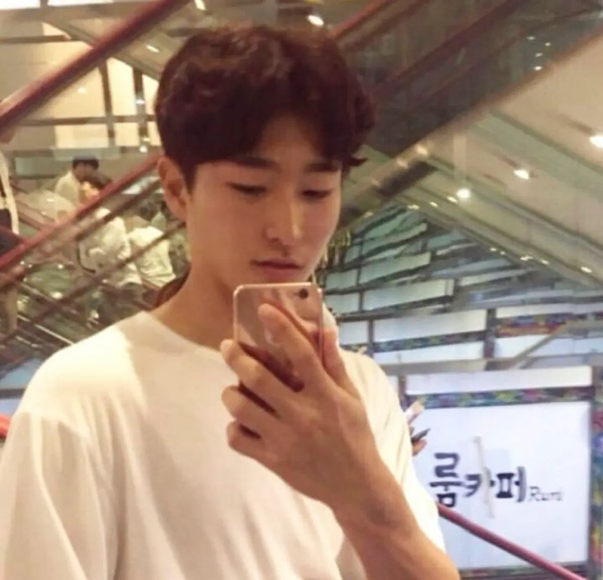 파니니 카드 구해요