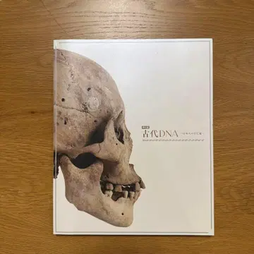 특별전 고대 DNA 일본인의 뿌리
