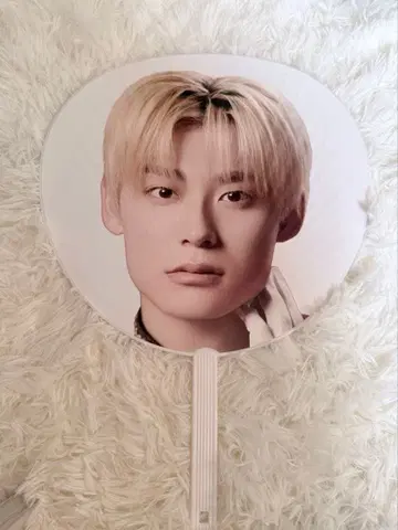 초특급 알로하 부채