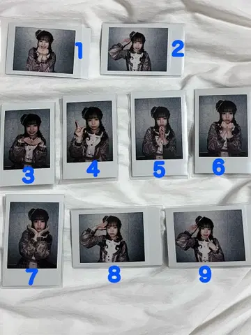 공시 카렌 폴라로이드