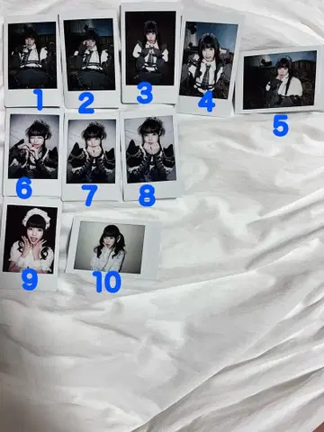 카라시 카렌 폴라로이드