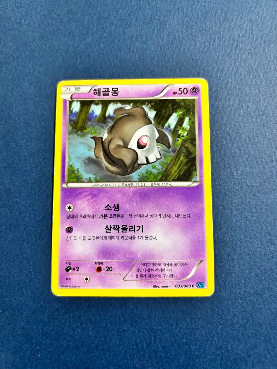 포켓몬카드 해골몽 일반카드 도감용 덱소스 xy2 033/080