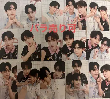[ TeeTeePor ] 트레이딩 카드 15장 세트