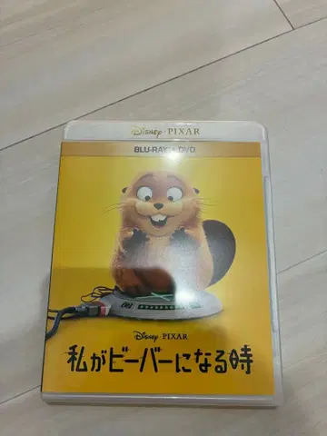 내가 비버가 될 때 Blu-ray+DVD 세트