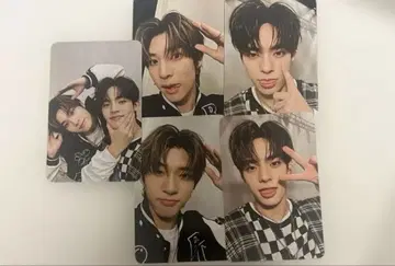 [ TeeTeePor ] 트레이딩 카드 5장 세트