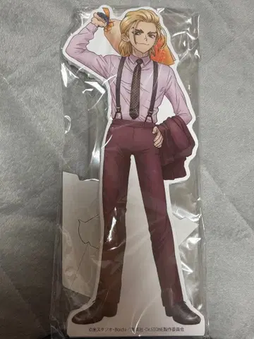 Dr.STONE 미니 패널 나나미 류스이