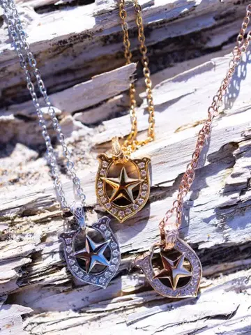 IRIEBEACH Horseshoe star necklace
