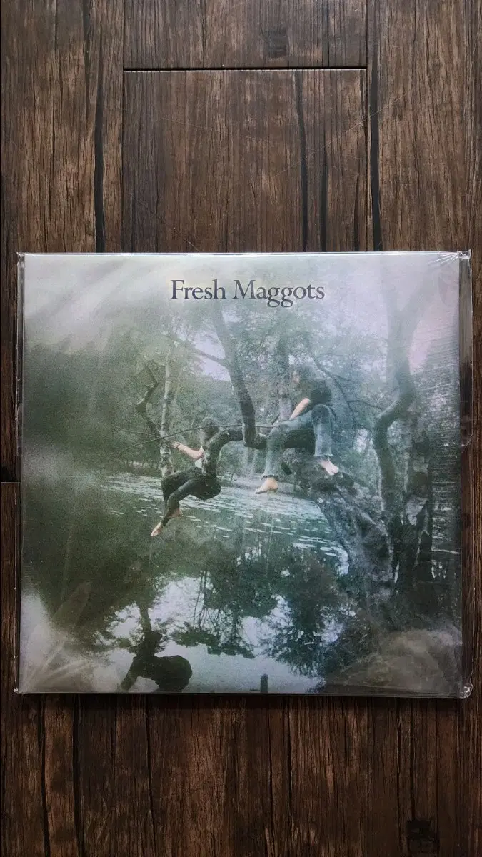 Fresh maggots 미개봉 2lps 2007년 Sunbeam