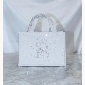 Darich 다리치 DR 자수 비쥬 미니 토트백 SAX