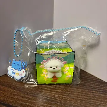 파우토토 pawtoto 강아지 스퀴즈