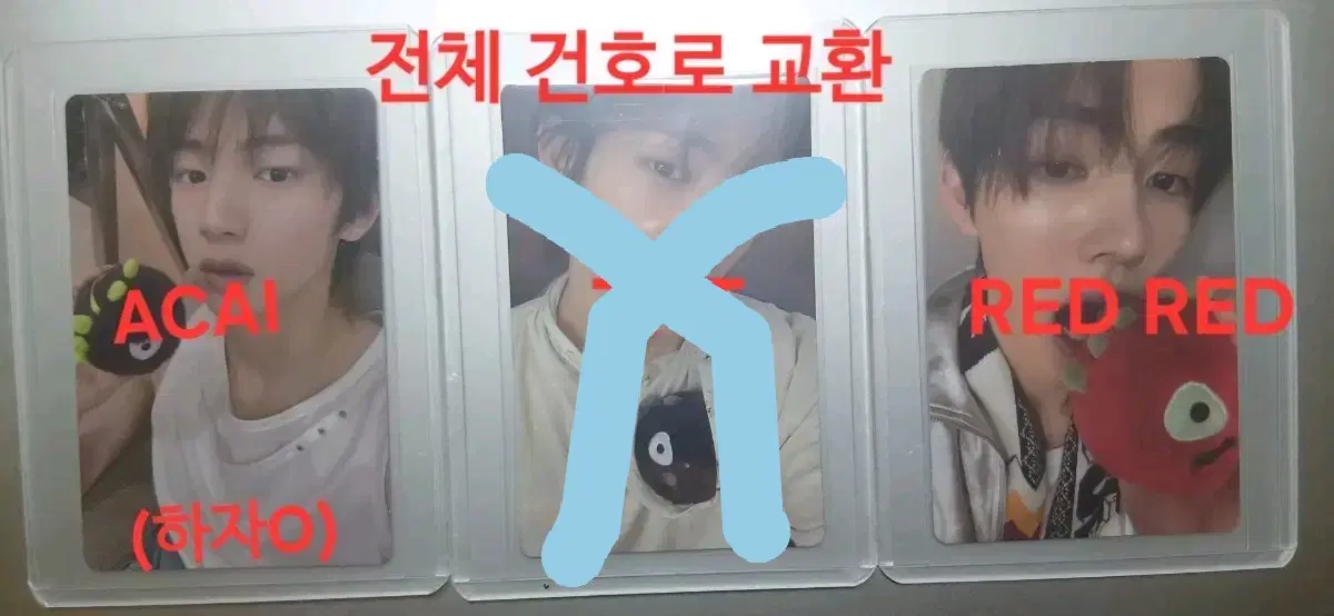 코르티스 코르티스볼 주훈 성현 건호 교환 레드레드 티엔티 아사이