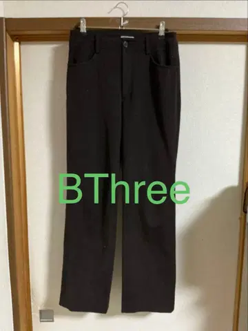 여성용 심플 팬츠 (브라운)
